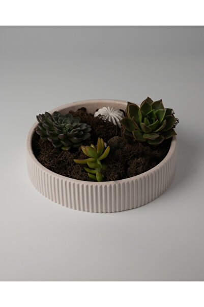 Kaju Creative Dekoratif Beton Çizgili Kase - Sukulent - Mini Kaktüs - Bonsai - Aranjman Kasesi - Büyük/Küçük