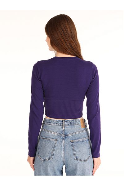 Colin's Slim Fit Round Neck Solid Women's Purple Long Sleeve T-Shirt