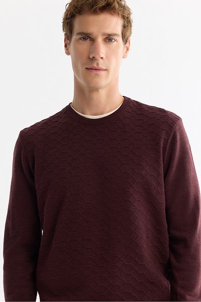 Avva Men's Claret Red Crew Neck Textured Knitwear Sweater E 005107