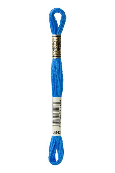 Dmc Muline Yarn 3843