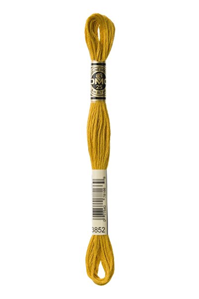 Dmc MULINE YARN 3852