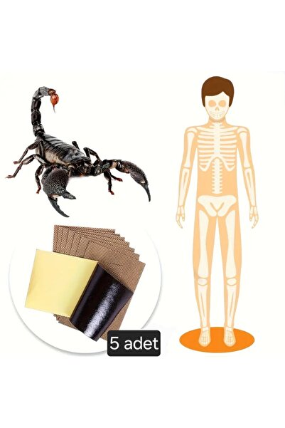 ASLANKAR Ağrı bandı Çin akrep yakı bandı sırt,omuz,diz,bel,bacak,ayak,el için...