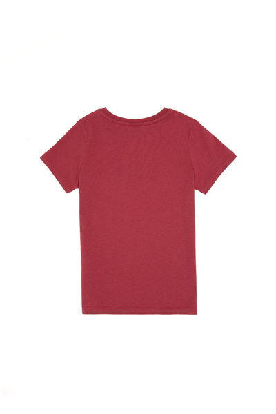 U.S. Polo Assn. تي شيرت للأولاد برقبة دائرية من الكرز 50307313-VR223