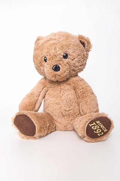 Ecrou Teddy Island Plush Bear Soft Soft Toy 30 cm Brown