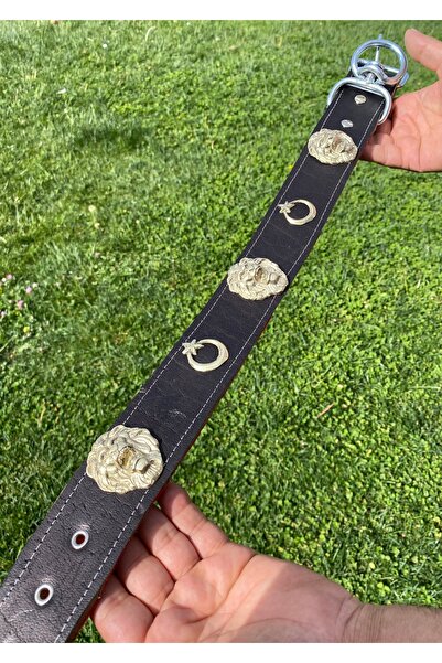 Sürmeli Tasma Kangal Köpek Tasması Hakiki 1. Sınıf Manda Derisi 5 Cm Genişlik