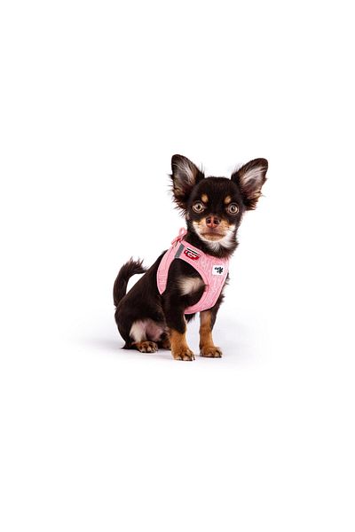 Curli 2024 Special Edition Vest Chest Collar - Air Mesh, Fondant Pink Clasp
