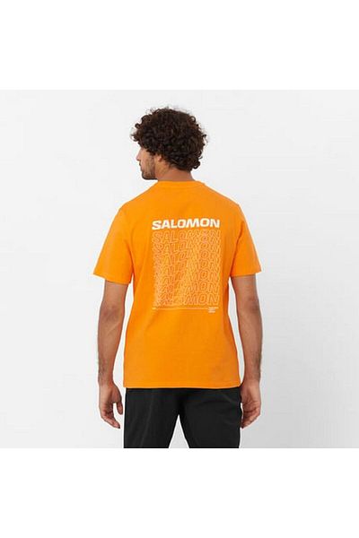 Salomon Lc 2219700   Graphic Perf Ss Tee m Men's t Shirt