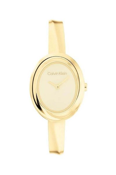 Calvin Klein Ck25100056 Women's Wristwatch