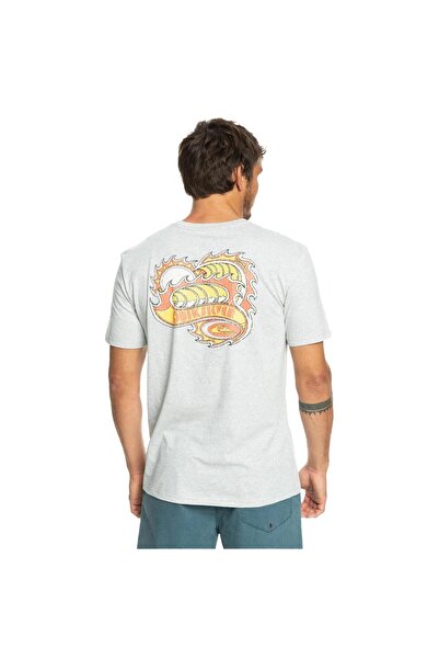 Quiksilver Eqyzt07221 Sunburntdays m Tees Men's T-Shirt Gray