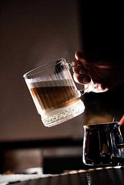 Pasabache Pasabahce 1204652 ELYSIA MUG 250cc 2PC ST