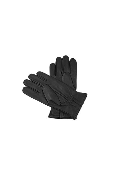 Polo Ralph Lauren Men's Gloves 405801110041