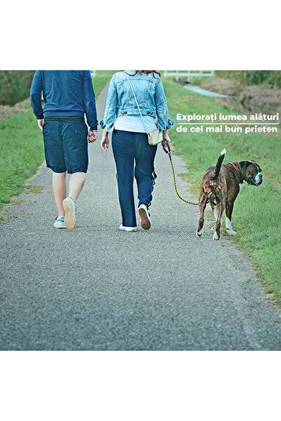 Fish & Paws Lesa Fish & Paws ®, de caine reflectorizanta pentru talie mica si mare,1.2cm x 150cm