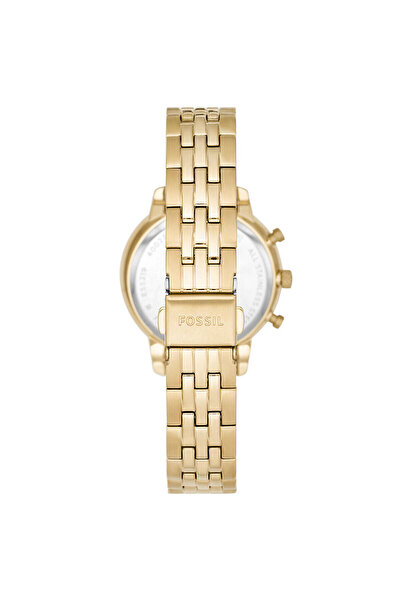 Fossil Fes5219 Kol Saati