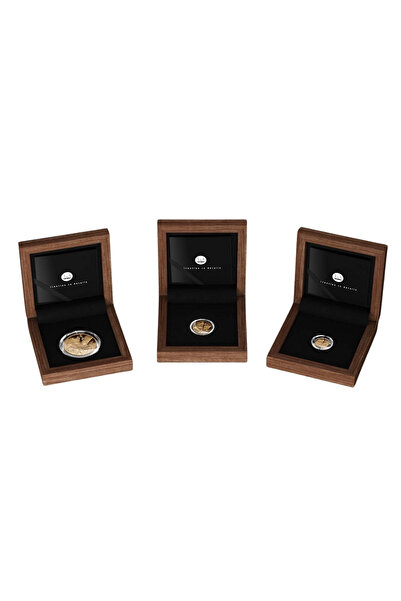 aga kulche Amenhotep Nefertiti 1/10 Ons Altın Sikke Coin