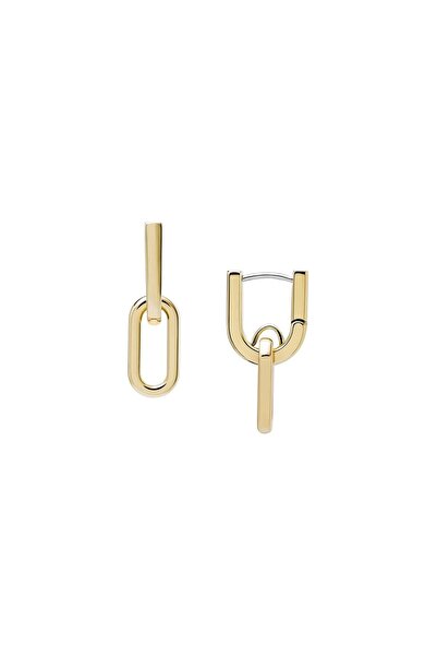 Fossil Heritage Female Earrings JF04780710