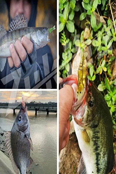 SAZAN RİG Sarı Karides Iğneli 1.3 Gr 5 Cm Yapay Sahte Silikon Yem 5 Adet