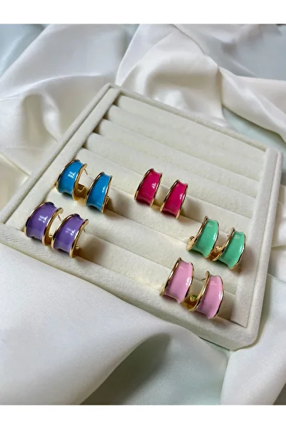 Orvix Accessories Non-Tarnish Steel Fuchsia Hoop Women's Summer Earrings Gift Earrings Evening Dress Earrings Mother Earrings