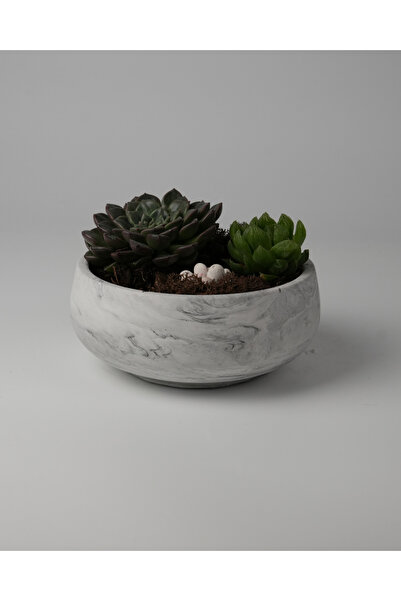 Kaju Creative Dekoratif Beton Kase Saksı Mermer Desenli 21,5 x 9,5 3L /14X6.5...