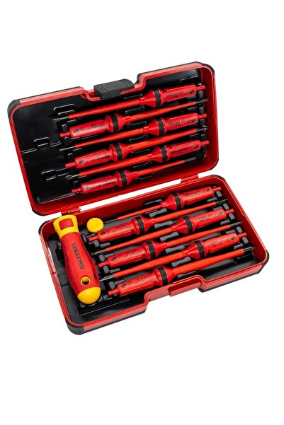 BİTERSE 14 Parça Taşıma Çantalı 1000V İzoleli Elektro Slim Tornavida Seti KTL...