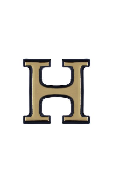 flores Plastic letter for gate / apartment, self-adhesive, gold, 100 mm, letter H