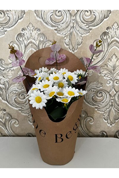 KAYZEN Saksıda papatya buketi