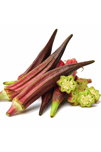 ZENGARDEN EV VE BAHÇE Kırmızı bamya tohumu red burgundy