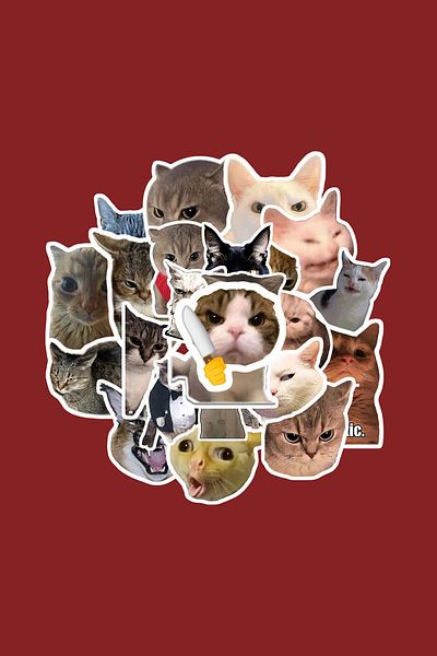 dadi ramba Angry Cat Sticker Pack -Bullet Journal- Agenda -Laptop Sticker Decal