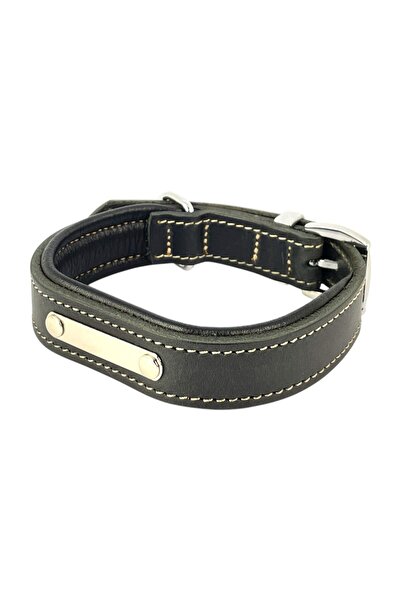 Genel Markalar Kişiselleştirilmiş Hakiki Mat Deri Köpek Tasması, Yumuşak Deri Alt Kısım, Ekstra Dayanıklı & Sağlam