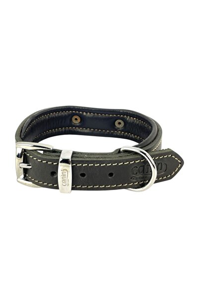 Genel Markalar Kişiselleştirilmiş Hakiki Mat Deri Köpek Tasması, Yumuşak Deri Alt Kısım, Ekstra Dayanıklı & Sağlam