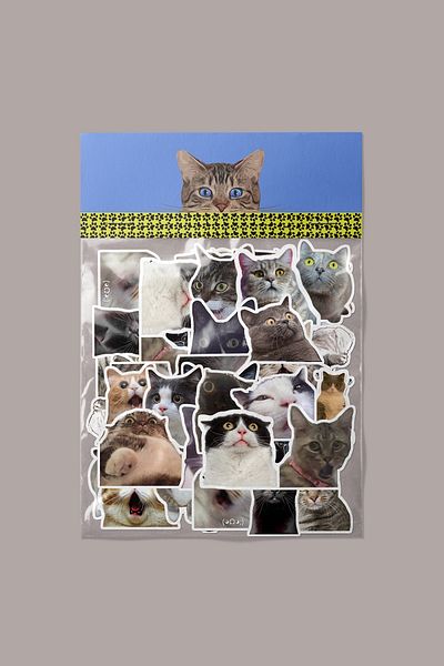 dadi ramba Confused Cat Sticker Pack -Bullet Journal- Agenda -Laptop Sticker Decal