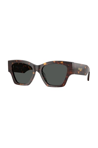 Versace Sunglasses Ve4492U 53 108/87