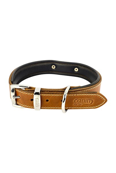 Canini Collar Kişiselleştirilmiş Hakiki Mat Deri Köpek Tasması, Yumuşak Deri Alt Kısım, Ekstra Dayanıklı & Sağlam