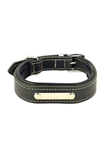 Genel Markalar Kişiselleştirilmiş Hakiki Mat Deri Köpek Tasması, Yumuşak Deri Alt Kısım, Ekstra Dayanıklı & Sağlam