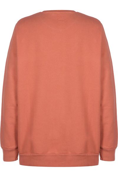 Levi's Herren T2 Graphic Crew Sweater