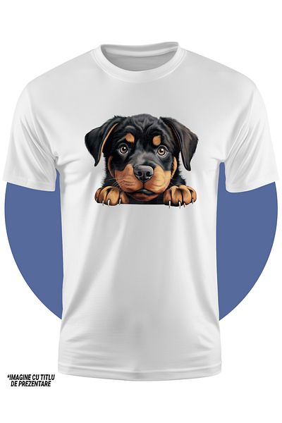 StoryGift Romania Tricou Copii Cu Un Catel Care Priveste Sfios, Ilustratie, Gheare, Nu Are Curaj, Labute, Pe