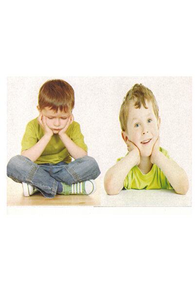 Educational Toys الكروت التعليمية المعكوسات