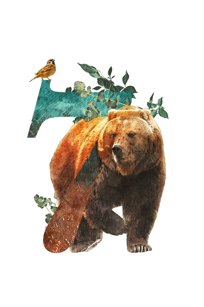 StoryGift Romania Sticker Adeziv 90CM Cu Cifra, 7, Urs, Pasare, Frunze, Natur...