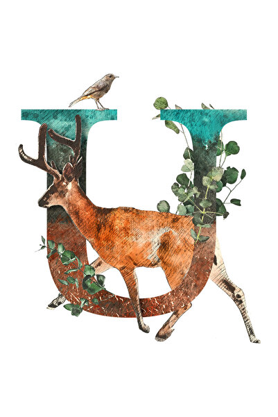 StoryGift Romania Sticker Adeziv 90CM Cu Litera, U, Cerb, Pasare, Frunze, cu ...