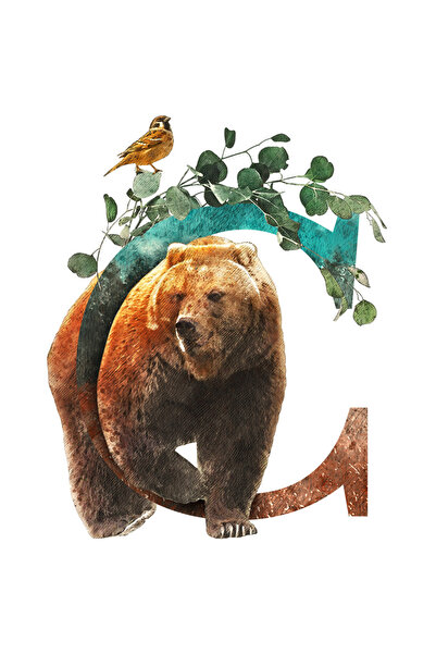 StoryGift Romania Sticker Autocolant 70CM Cu Litera, C, Urs, Vrabioara, Plante, cu Margini Albe, PVC Vinyl 70 cm