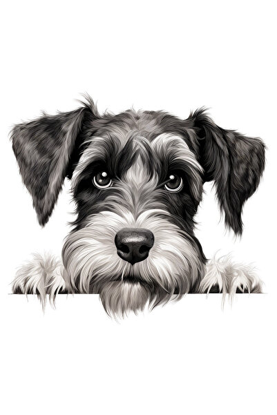 StoryGift Romania Sticker Autocolant 70CM cu un caine dezamagit, ilustratie, ...