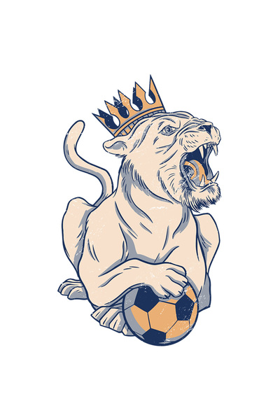 StoryGift Romania Sticker Eticheta 40CM Cu Leu Cu Coroana Urland, Inima Fotba...