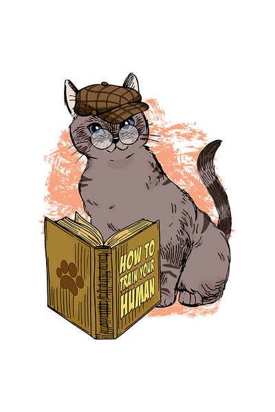StoryGift Romania Sticker Label 40CM with a cat, detective, glasses, wants to learn how to train his paw