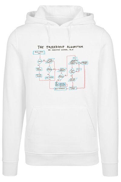 F4NT4STIC Herren Big Bang Theory Theory Freundschaftsalgorithmus und Big Bang Theory mit schwerem Kapuzenpullover