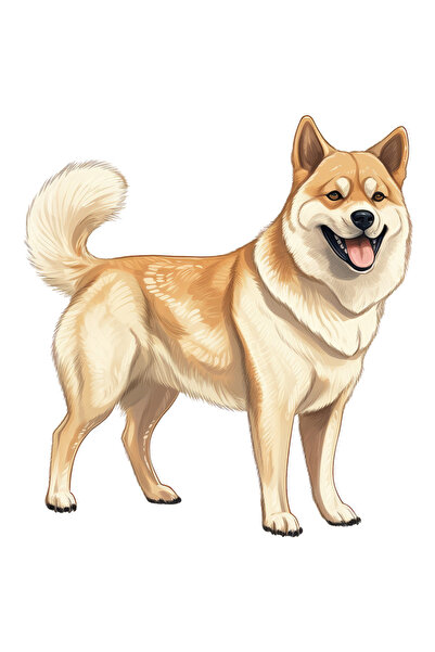 StoryGift Romania Sticker Cu Un Caine Vesel, Sprinten, Ilustratie, Pentru Iub...