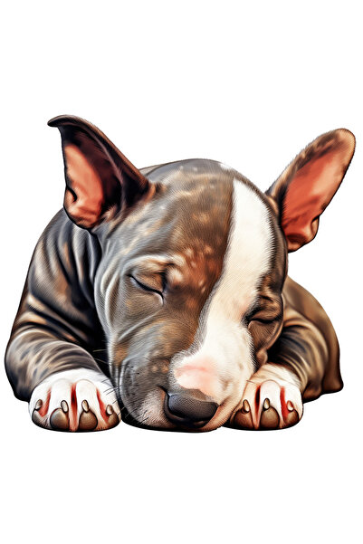 StoryGift Romania Sticker Autocolant 70CM cu un catel care doarme dus, ilustr...