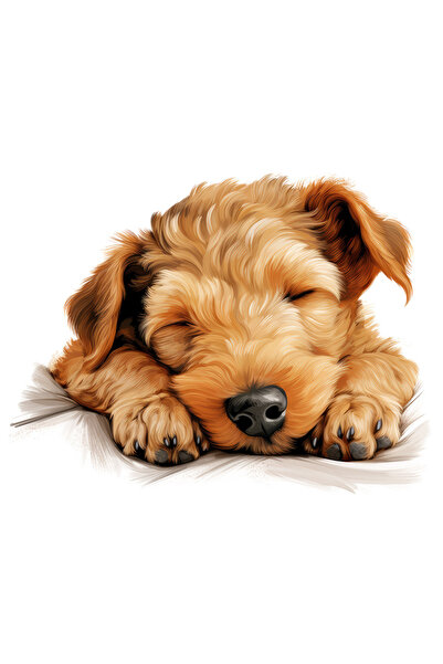 StoryGift Romania Sticker Autocolant 70CM cu un catel care doarme lat, ilustr...