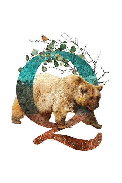 StoryGift Romania Sticker Adeziv 90CM Cu Litera, Q, Urs, Vrabie, cu Margini A...