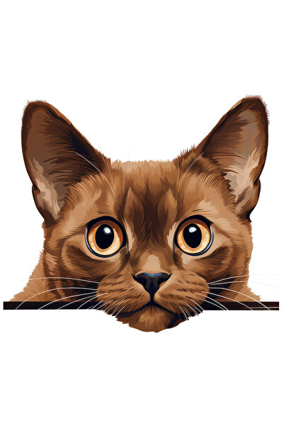 StoryGift Romania Sticker Adeziv 90CM cu o pisica surprinsa, privire patrunza...