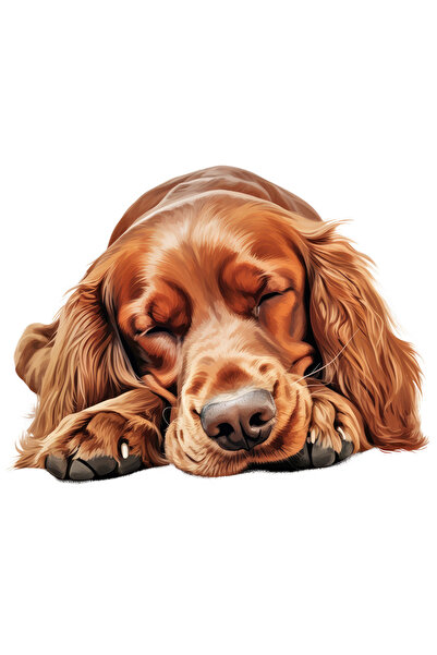 StoryGift Romania Sticker Eticheta 50CM cu un caine maroniu care doarme lat, ...