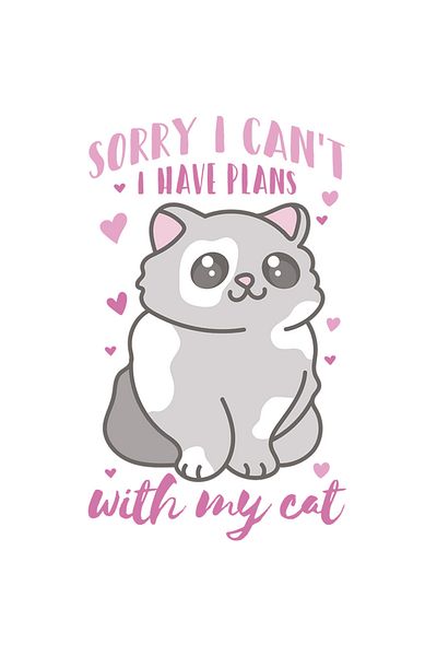 StoryGift Romania Sticker Eticheta 40CM Cu Pisica Gri, Sorry I Can, t I Have Plans With My Cat, Pisici Si Motani